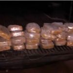 Polícia apreende 30 quilos de cocaína em caminhonete n BR-429